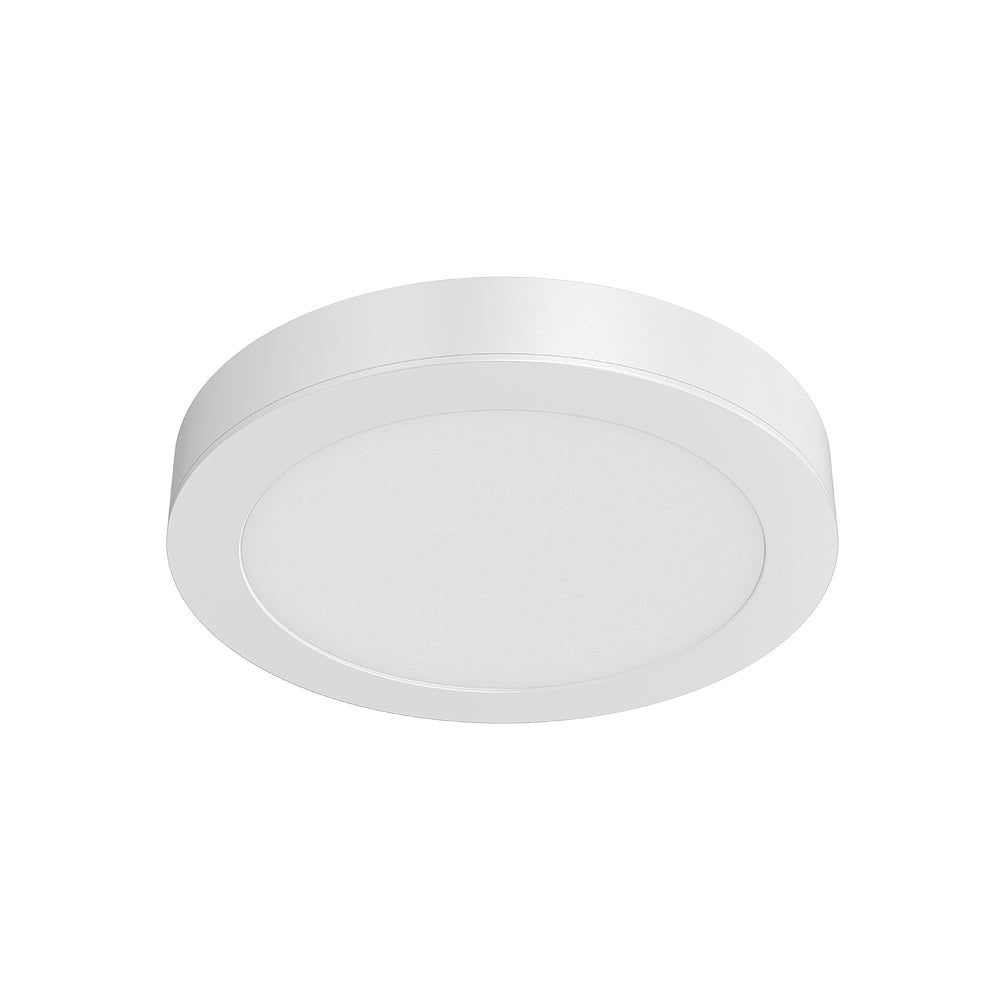 Braytron-SMD-SRP-12W-RND-WHT-4000K-LED PANEL