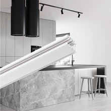 Load image into Gallery viewer, BRAYTRON TRACKLINE RAIL 2 WIRES 2MT