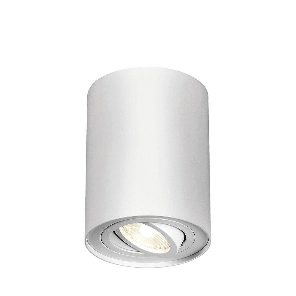 BRAYTRON GAMA GU10 SPOT LIGHT