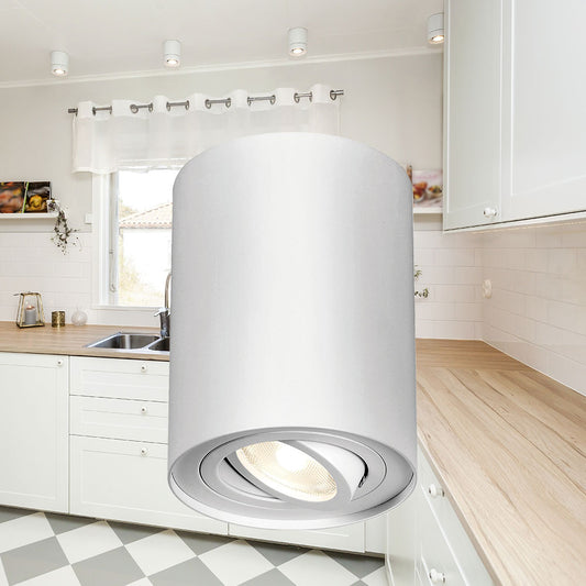 BRAYTRON GAMA GU10 SPOT LIGHT