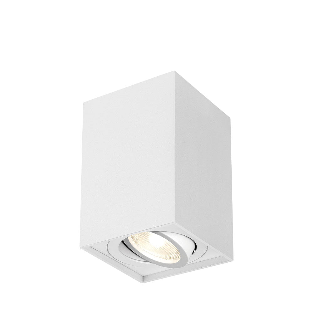 BRAYTRON GAMA GU10 SPOT LIGHT