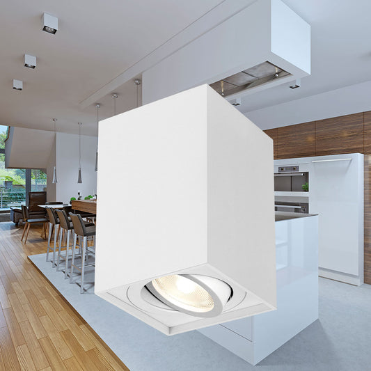 BRAYTRON GAMA GU10 SPOT LIGHT