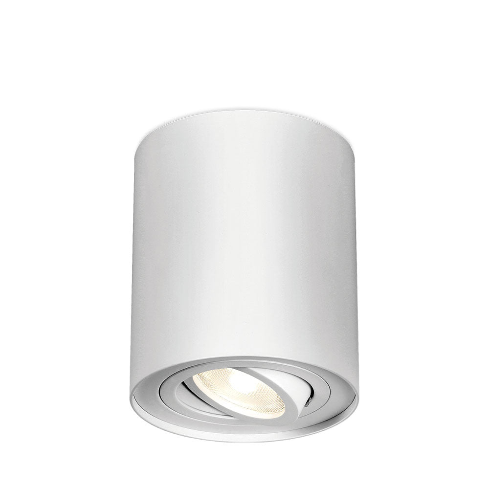 BRAYTRON GAMA GU10 SPOT LIGHT