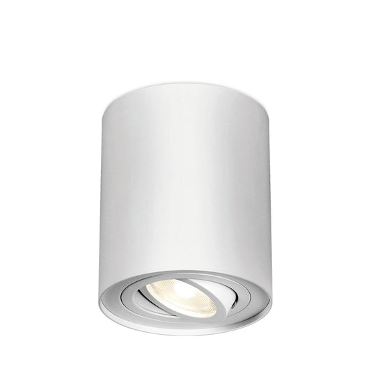 BRAYTRON GAMA GU10 SPOT LIGHT