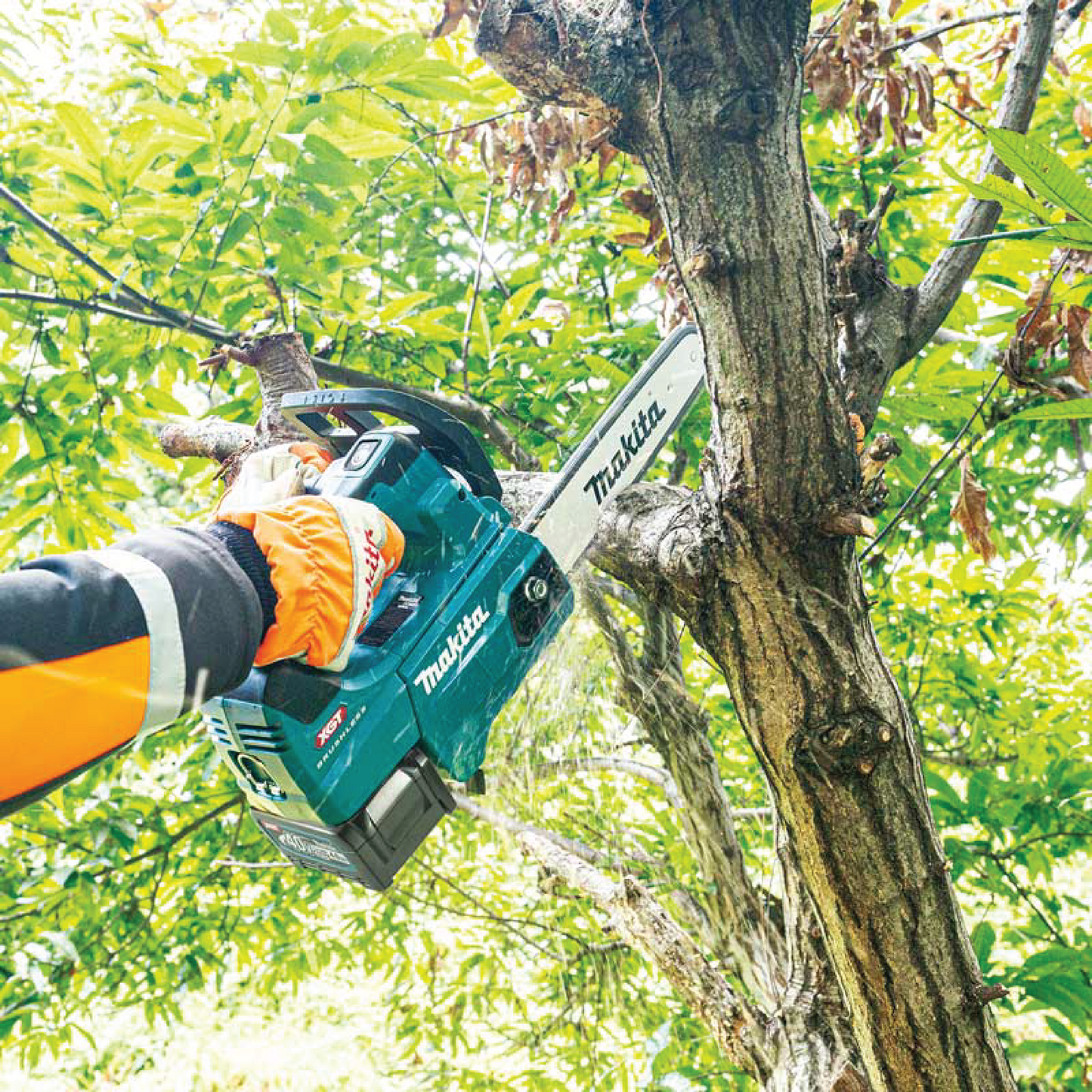 Cordless Chain Saw (40V MAX XGT) UC002GM102