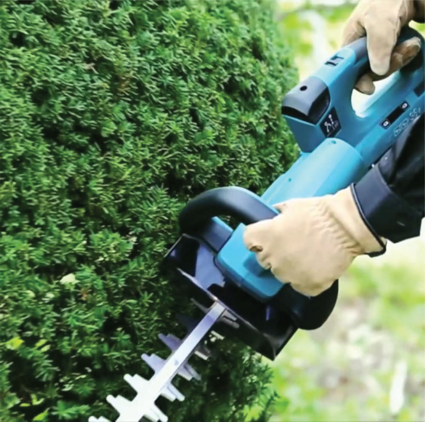 Cordless Hedge Trimmer (18Vx2 LXT) DUH551Z