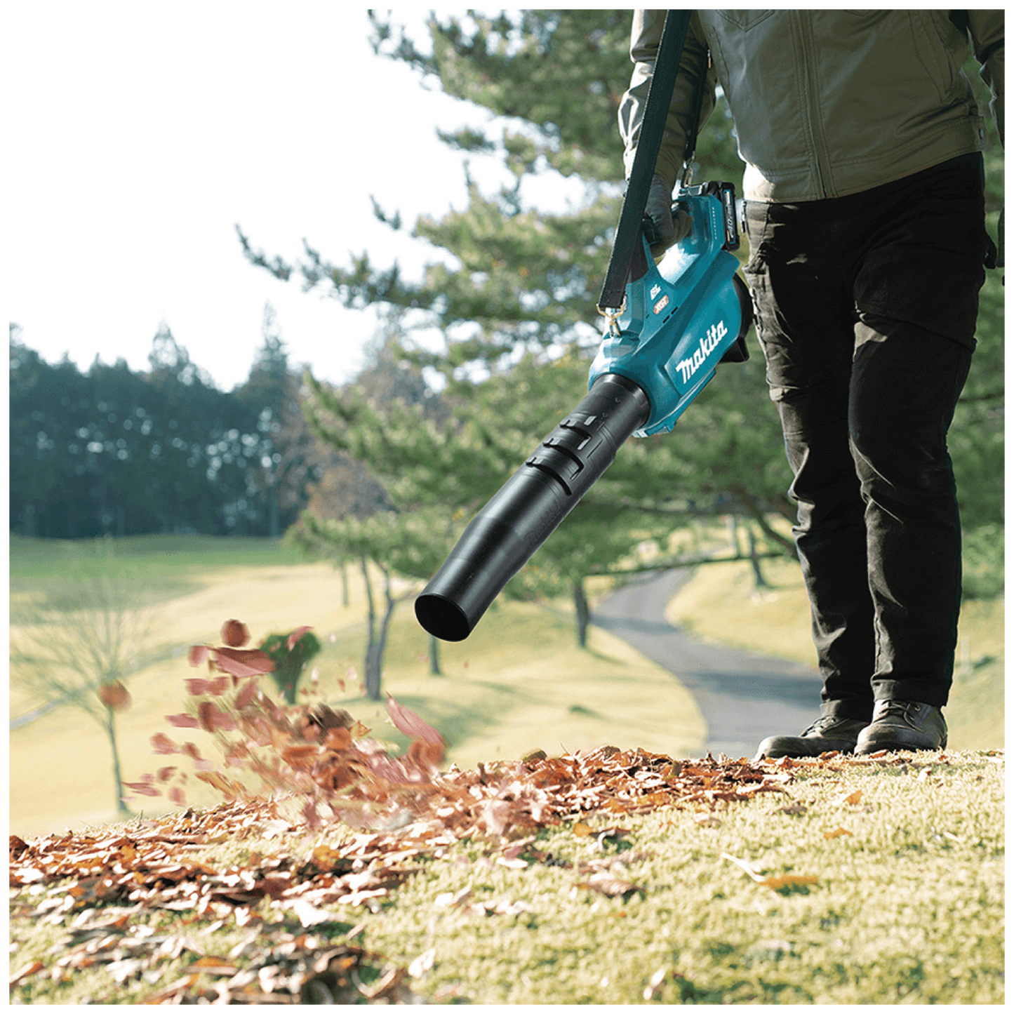 Cordless Blower (40V MAX XGT) UB001GM101